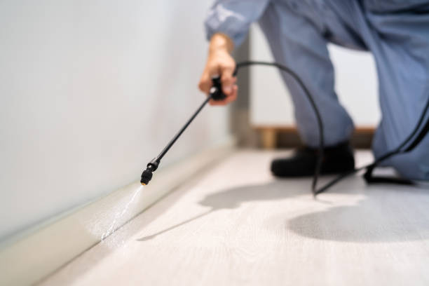 Licensed Rodent Control service in Jasper County County, GA - Nex Pest Control